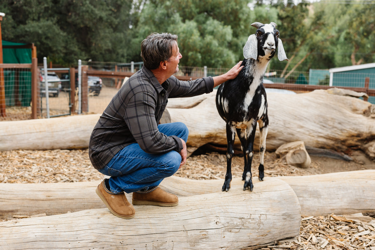 Man wearing flannel kneeling down on a log wearing cruelty freechestnut PAWJ roe clogs petting a goat at Kindred Spirits Animal Sanctuary